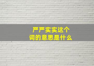 严严实实这个词的意思是什么