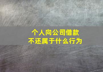 个人向公司借款不还属于什么行为