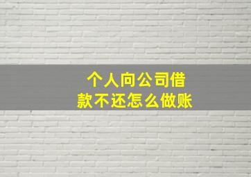 个人向公司借款不还怎么做账