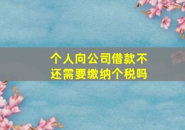 个人向公司借款不还需要缴纳个税吗