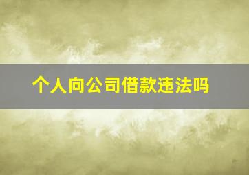 个人向公司借款违法吗