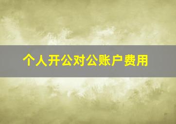 个人开公对公账户费用