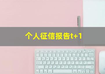 个人征信报告t+1