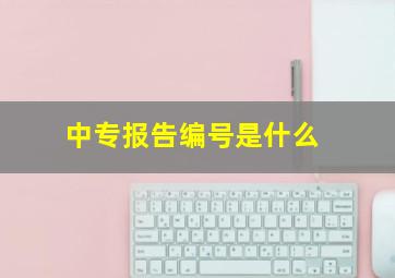 中专报告编号是什么