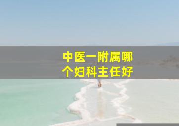 中医一附属哪个妇科主任好