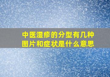 中医湿疹的分型有几种图片和症状是什么意思