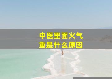 中医里面火气重是什么原因