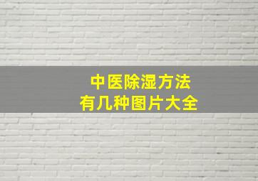 中医除湿方法有几种图片大全