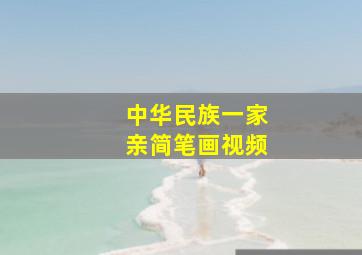 中华民族一家亲简笔画视频