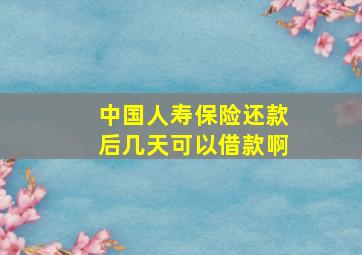 中国人寿保险还款后几天可以借款啊