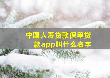 中国人寿贷款保单贷款app叫什么名字