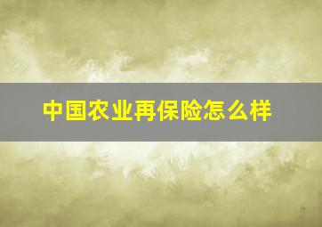 中国农业再保险怎么样