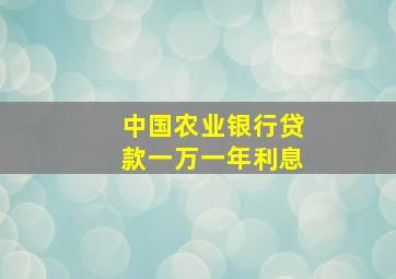 中国农业银行贷款一万一年利息