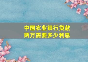 中国农业银行贷款两万需要多少利息