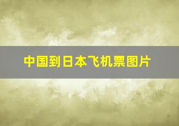 中国到日本飞机票图片