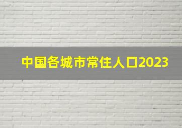 中国各城市常住人口2023