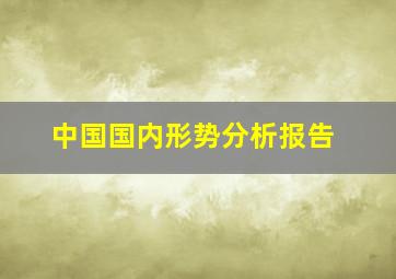 中国国内形势分析报告