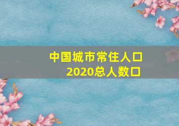 中国城市常住人口2020总人数口