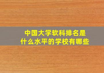 中国大学软科排名是什么水平的学校有哪些