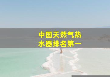 中国天然气热水器排名第一