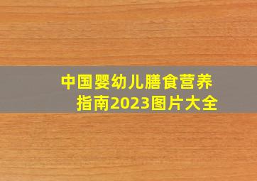 中国婴幼儿膳食营养指南2023图片大全