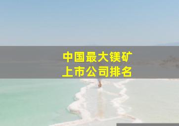 中国最大镁矿上市公司排名