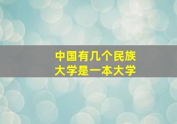 中国有几个民族大学是一本大学