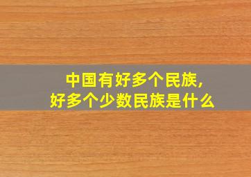 中国有好多个民族,好多个少数民族是什么