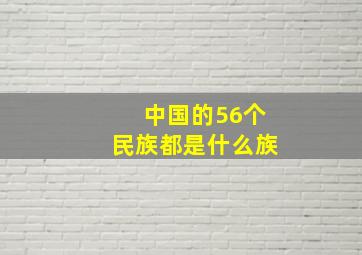 中国的56个民族都是什么族