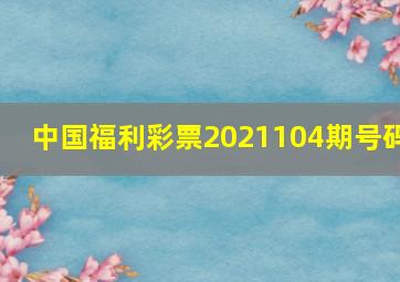 中国福利彩票2021104期号码