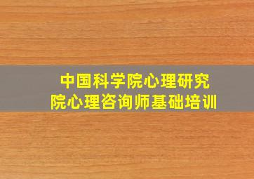 中国科学院心理研究院心理咨询师基础培训