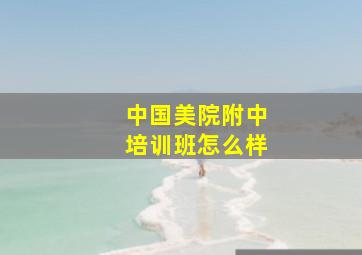 中国美院附中培训班怎么样