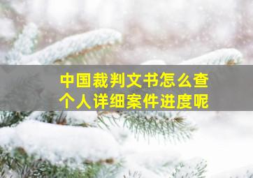 中国裁判文书怎么查个人详细案件进度呢