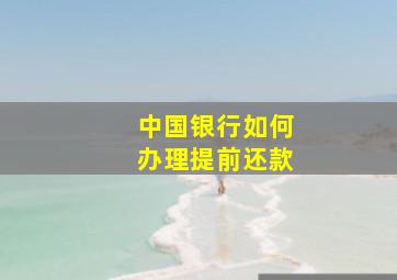 中国银行如何办理提前还款