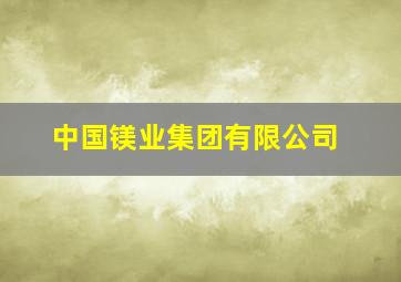 中国镁业集团有限公司