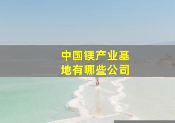 中国镁产业基地有哪些公司