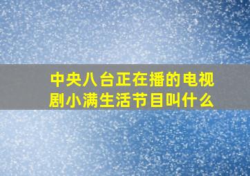 中央八台正在播的电视剧小满生活节目叫什么