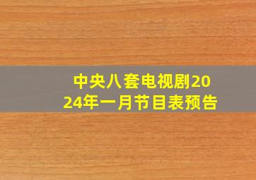 中央八套电视剧2024年一月节目表预告