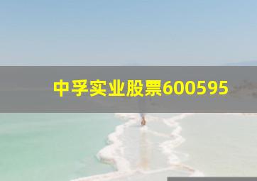 中孚实业股票600595