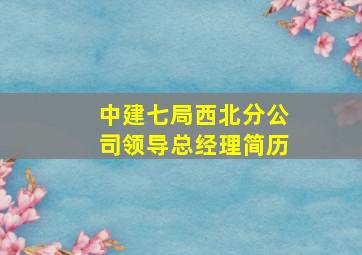 中建七局西北分公司领导总经理简历