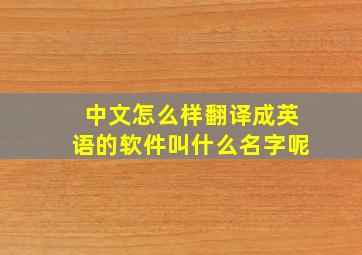 中文怎么样翻译成英语的软件叫什么名字呢