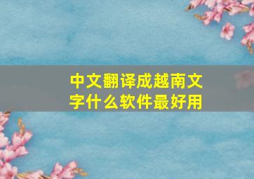 中文翻译成越南文字什么软件最好用