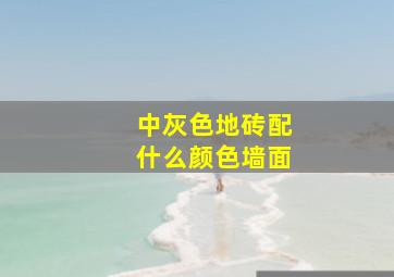 中灰色地砖配什么颜色墙面