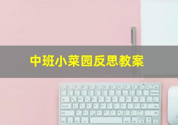 中班小菜园反思教案