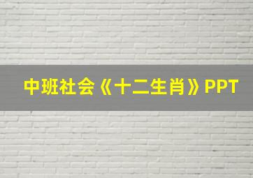 中班社会《十二生肖》PPT