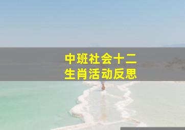 中班社会十二生肖活动反思