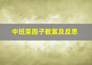 中班菜园子教案及反思