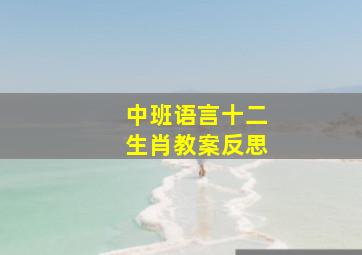 中班语言十二生肖教案反思