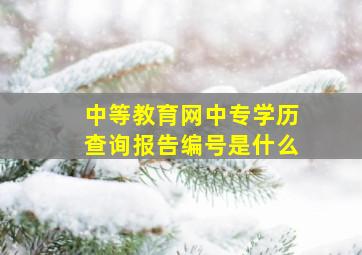 中等教育网中专学历查询报告编号是什么