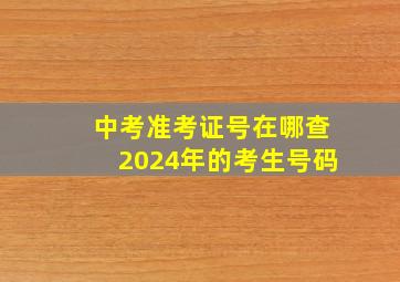 中考准考证号在哪查2024年的考生号码